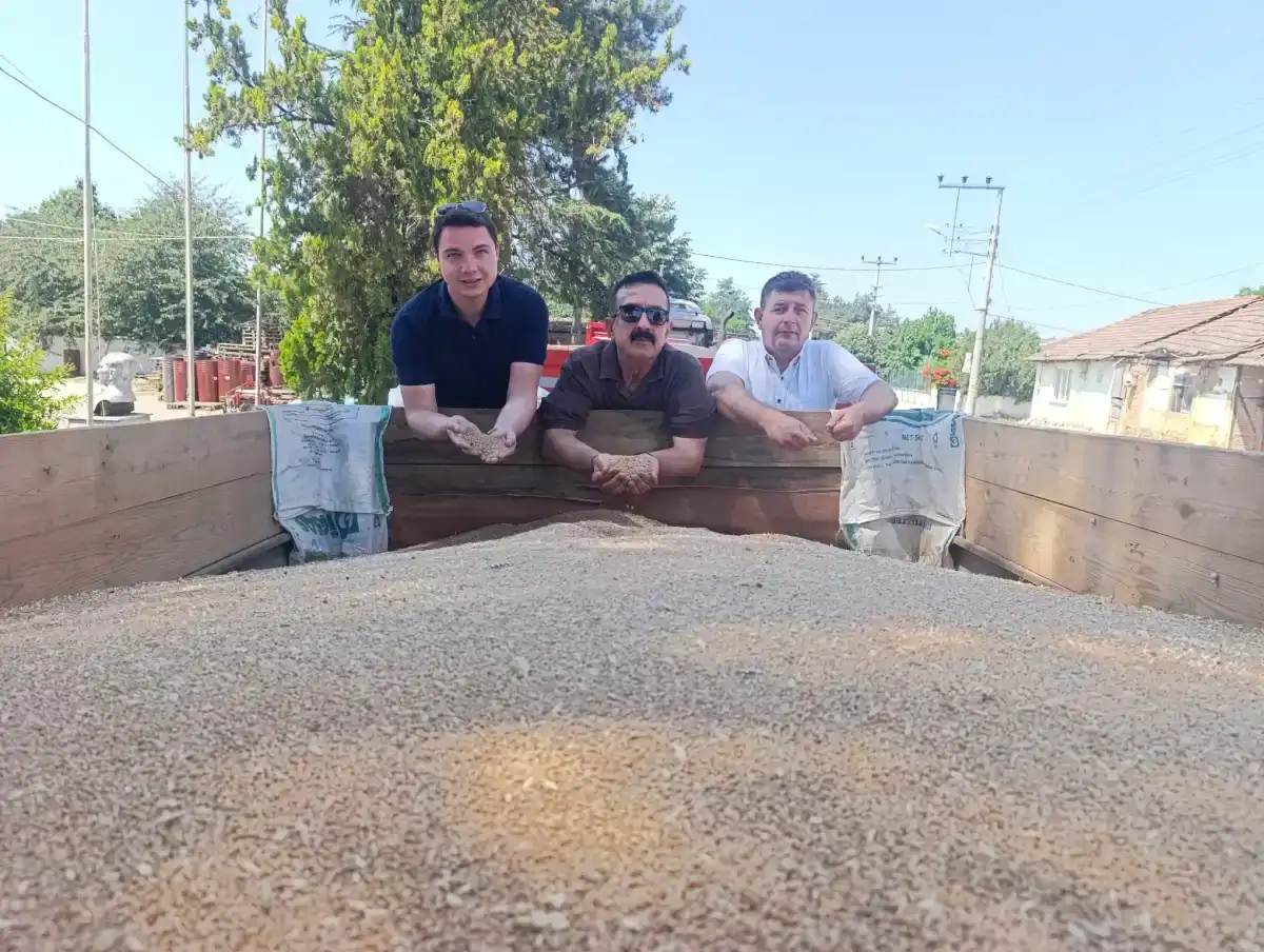 İnegöl’de TMO buğday alımları 5. yılında çiftçinin sigortası oluyor