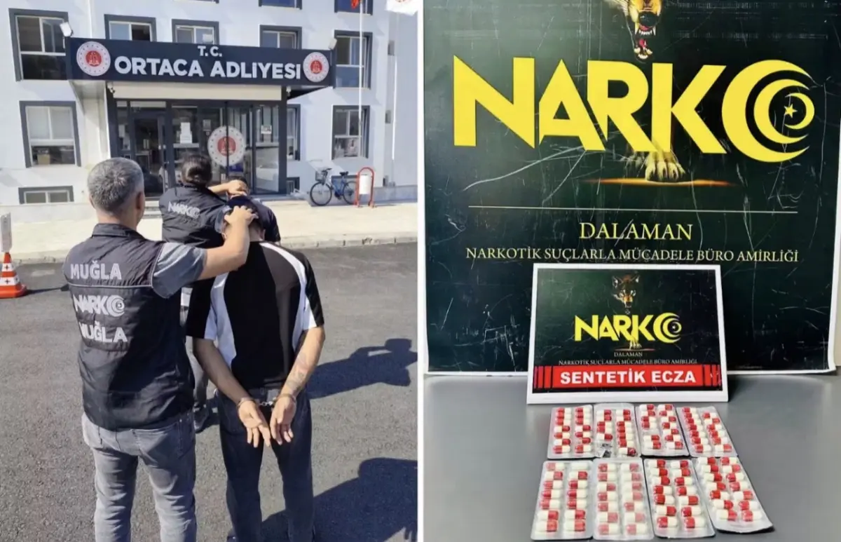 Muğla’da operasyon: 19 bin 200 bonzai ele geçirildi