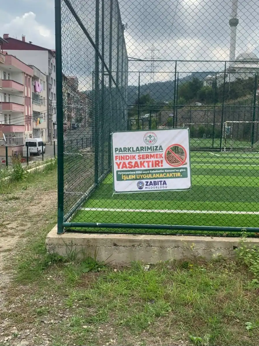 Giresun’da parklara fındık serimine sıkı denetim