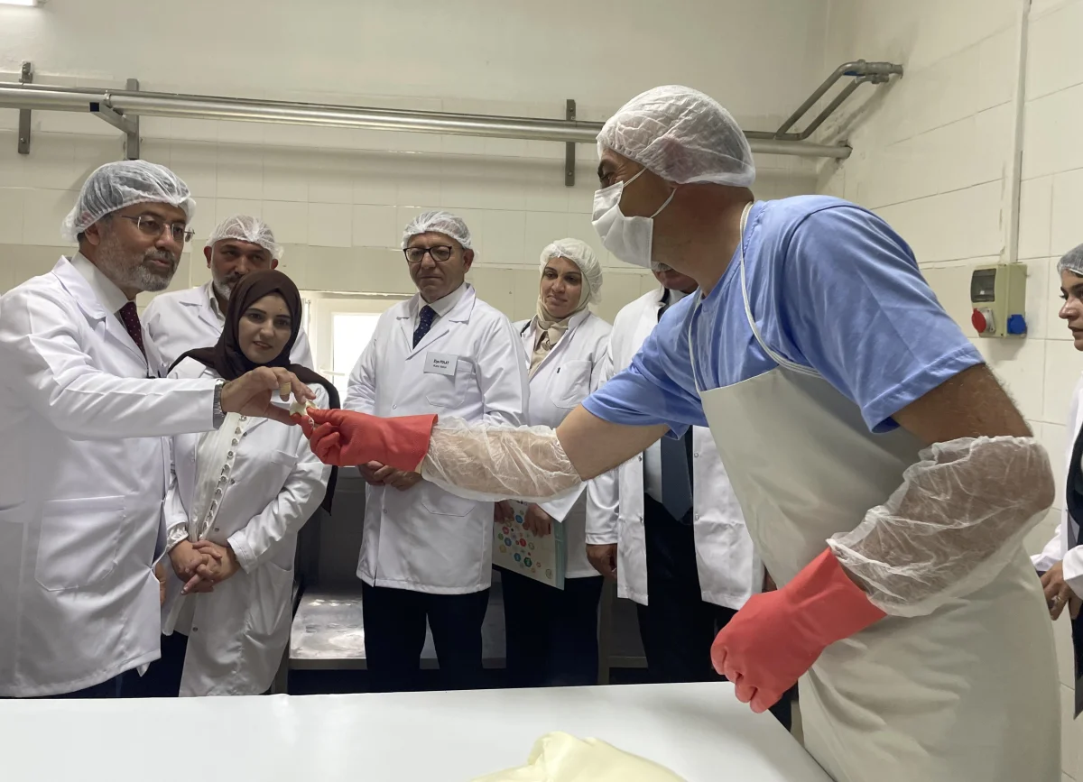 Bakan Yumaklı Kars’ta süt işleme tesisini ziyaret etti