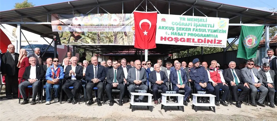 Ordu’nun coğrafi işaretli fasulyesinde hasat dönemi başladı