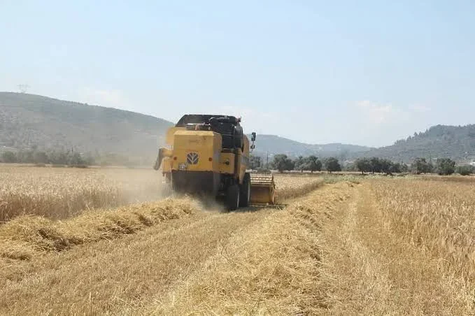 Pancar üreticilerine 952 milyon lira 5. avans ödemesi