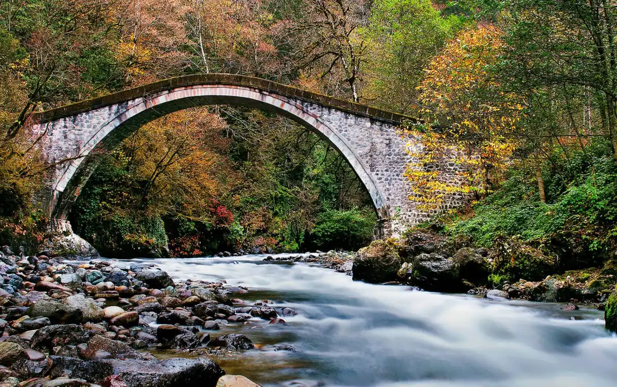 Rize’nin tarihî taş köprüleri doğayla bütünleşiyor