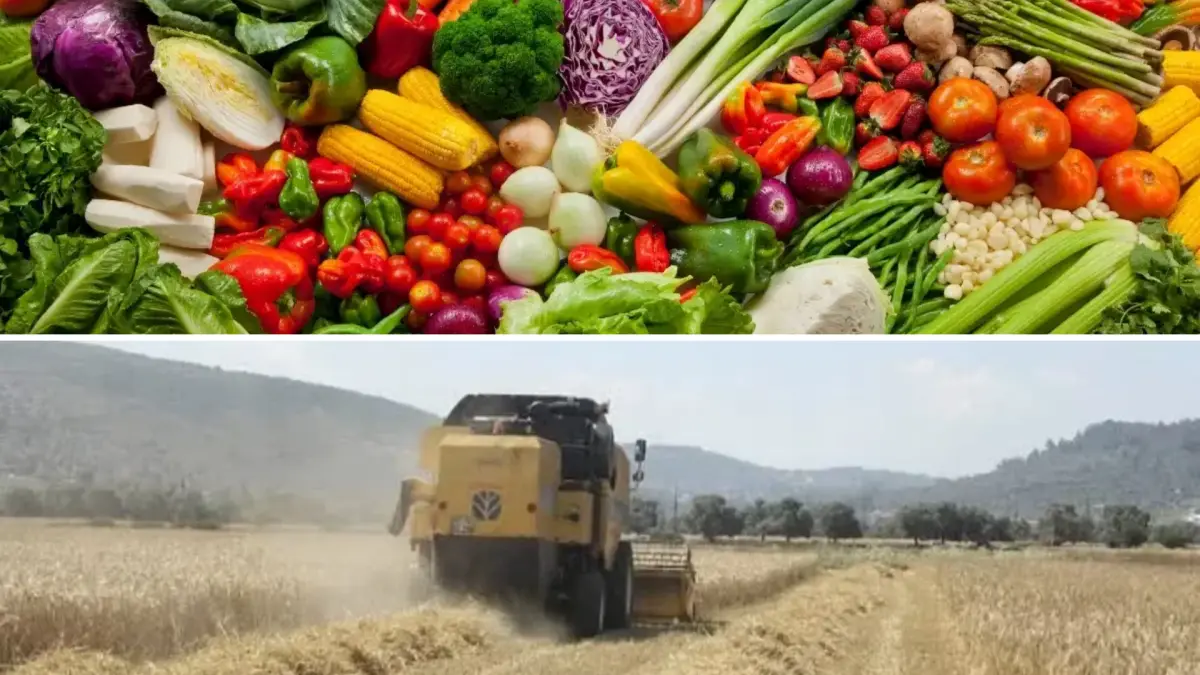 Tarım-ÜFE eylülde aylık yüzde 1,99 geriledi